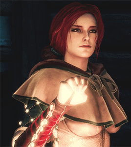 The Witcher