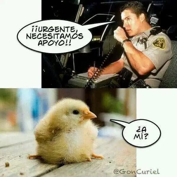 humor