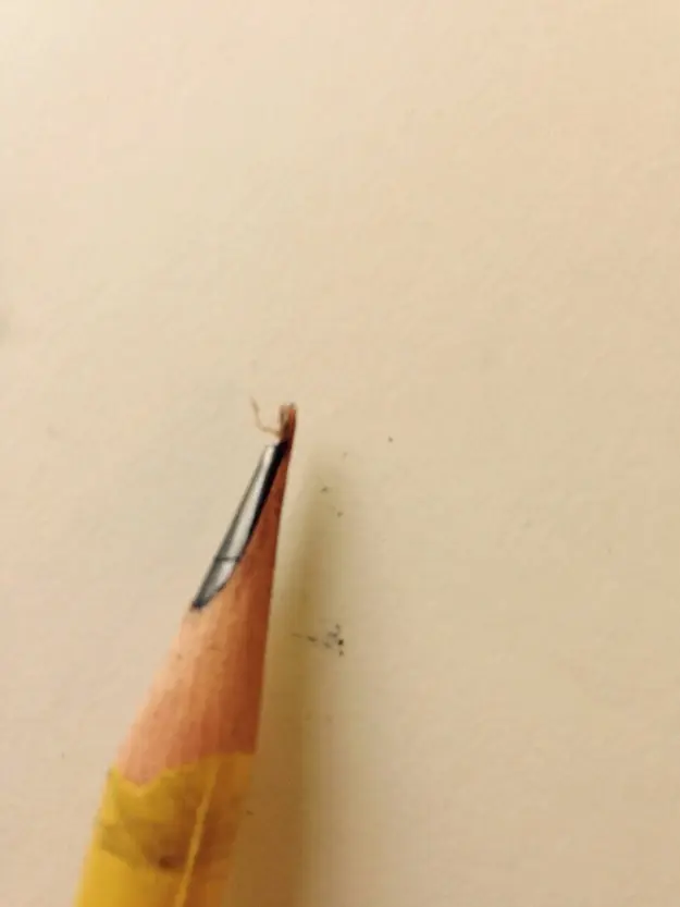 24 Fotos que prueban que la vida simplemente no es justa