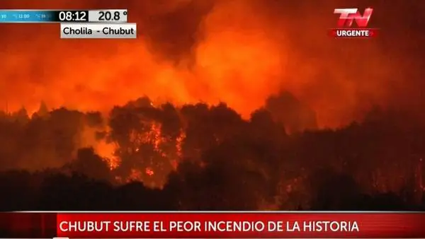 Esto provoca la impericia y corrupción del gobierno