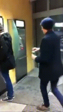 gifs