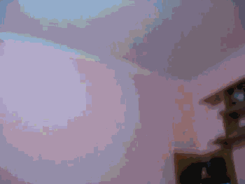 gifs