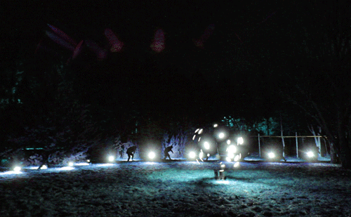 gifs