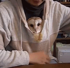Te tiro algunos gifs locura!! (por no decir megapost!)