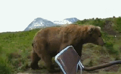 gifs