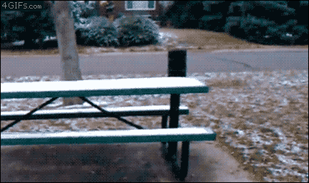 gifs