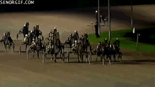 +5 si te llevas algún gif