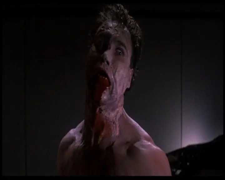 Re animator