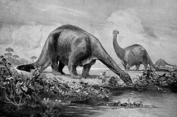 paleontologia