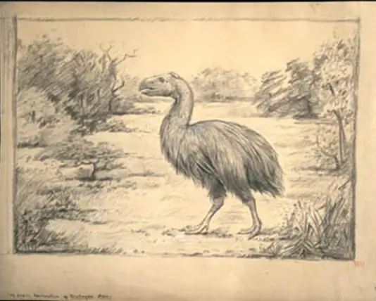 paleoarte