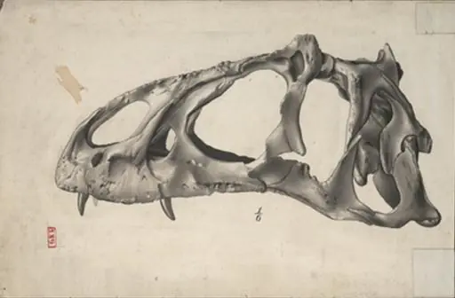 paleontologia