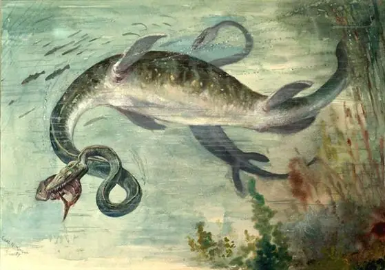 ilustraciones