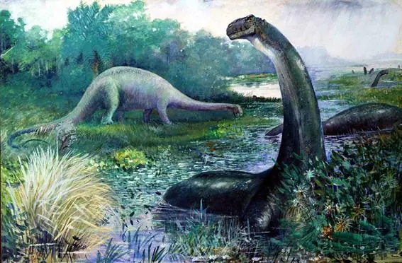 paleontologia