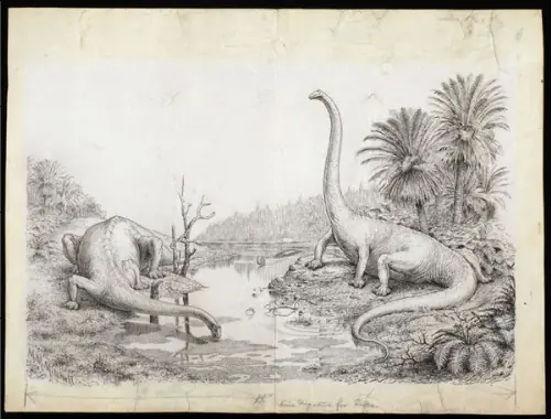 ilustraciones