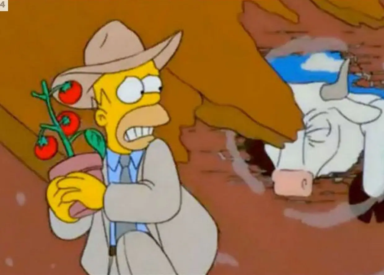 THE SIMPSON