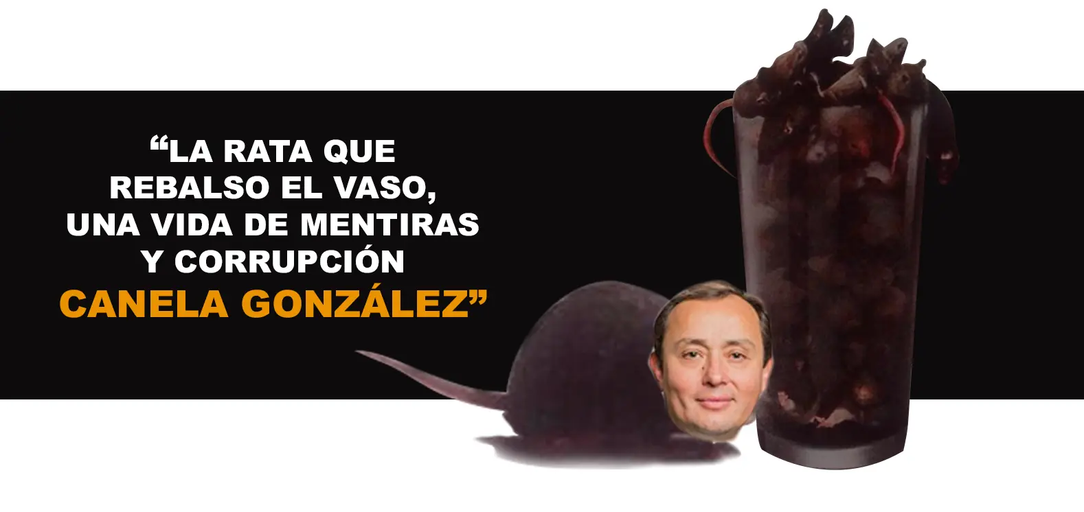 Ultimo contenido