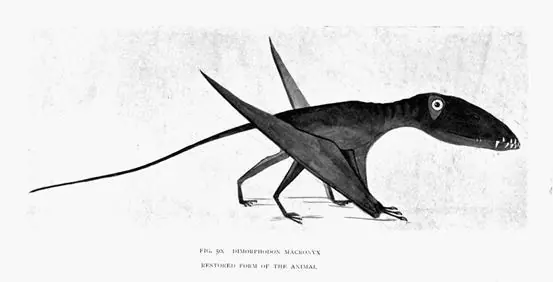 El Paleoarte de hace más de un Siglo
