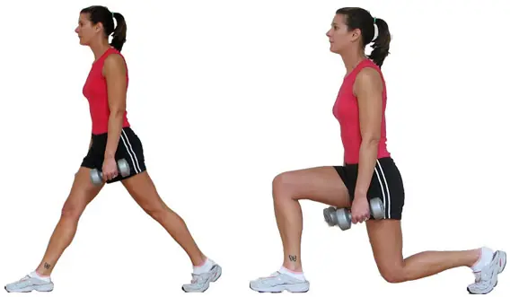 Gluteos firmes: tonifica y esculpe tus gluteos
