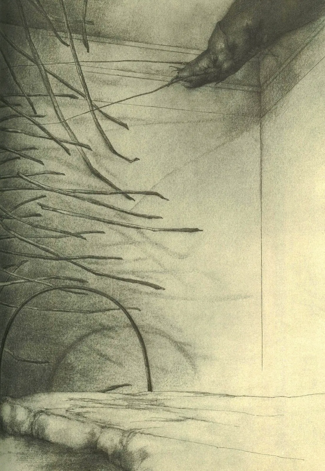 La Metamorfosis