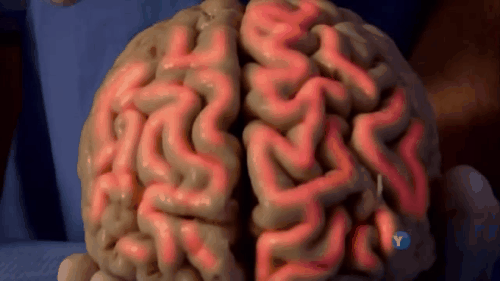 preguntas para hacer