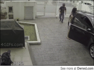 Gifs