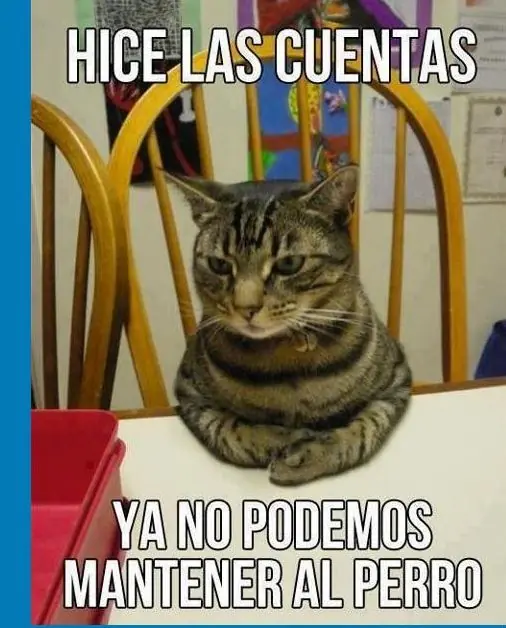 imagenes