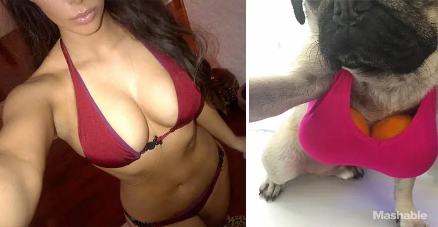 imagenes graciosas