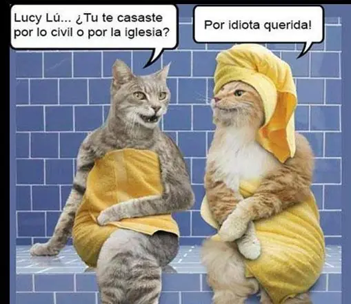 fotos