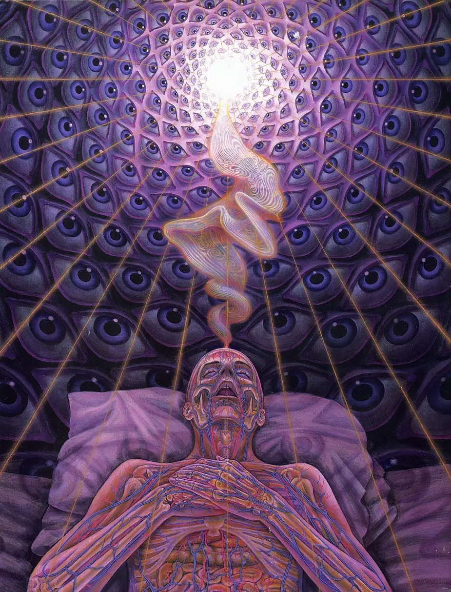"The stoned Ape theory" Evolucion gracias a psiquedelicos