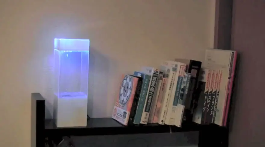 caja del tiempo caja del tiempo