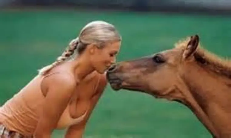 animales traviesos