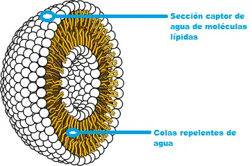tierra tierra