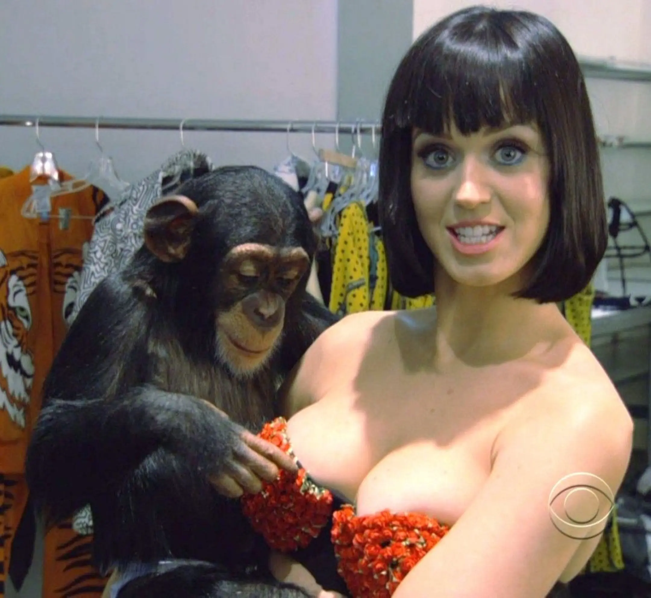 chicas y animales