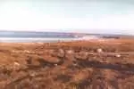 gurra de malvinas