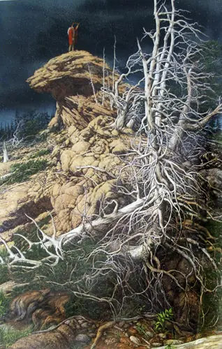 ecologia