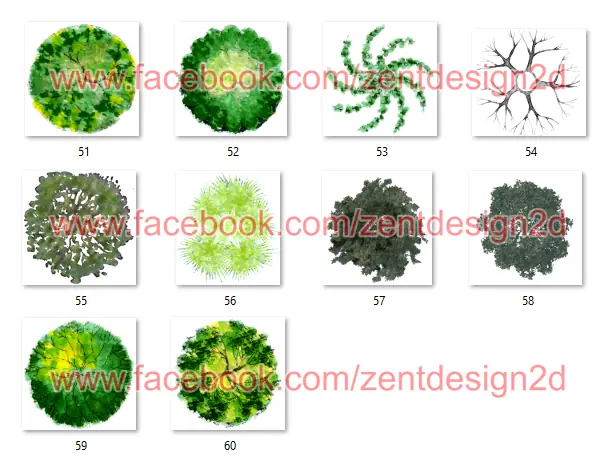 TREE PNG