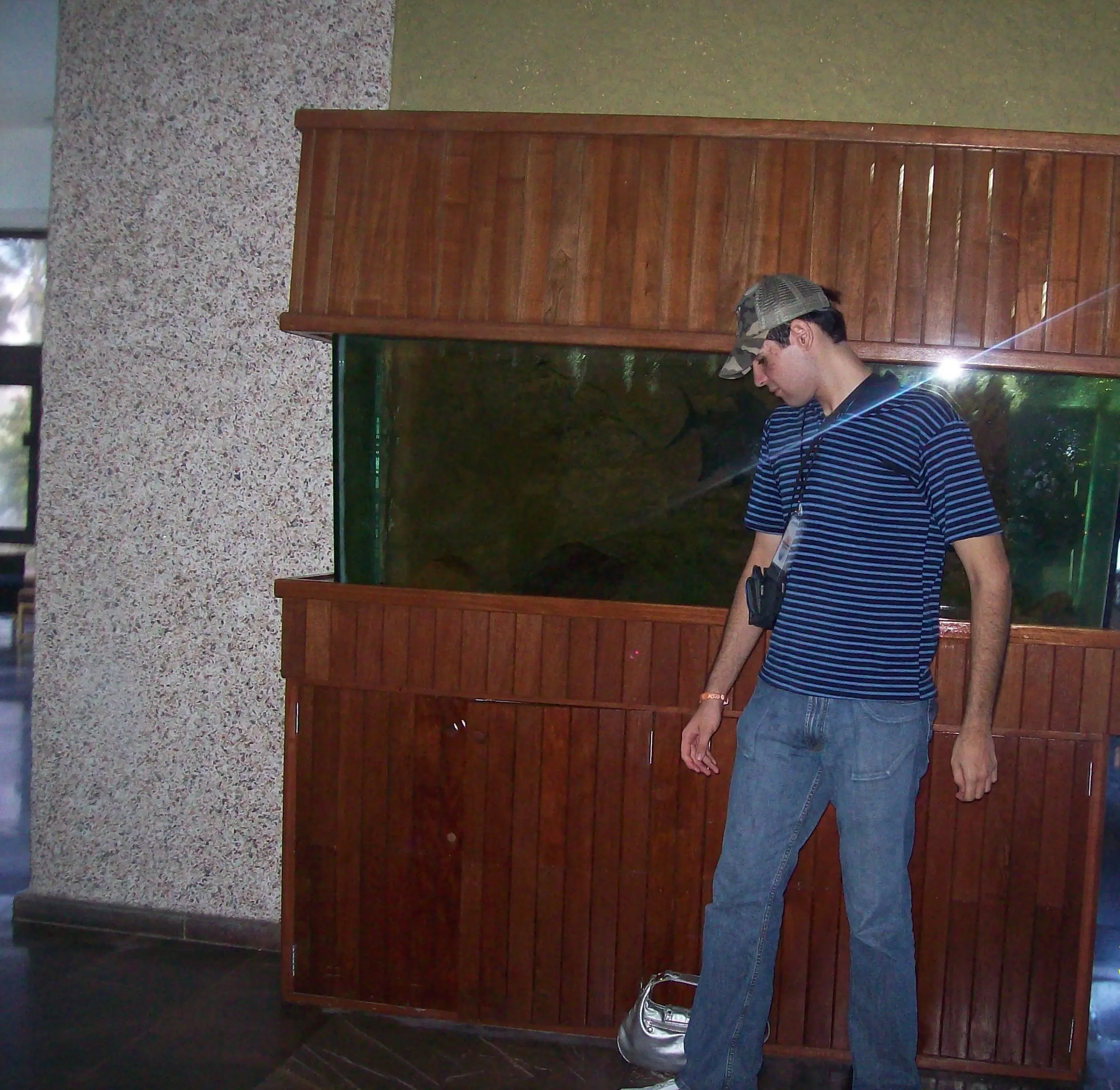 curioseando