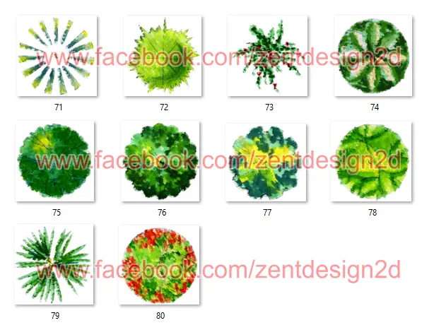 90 Arboles PNG - Vista en Planta - Diseños