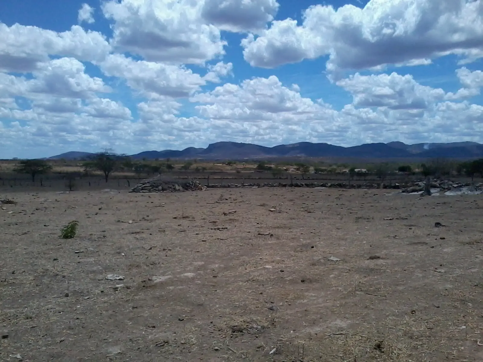 La hambruna en Ucrania