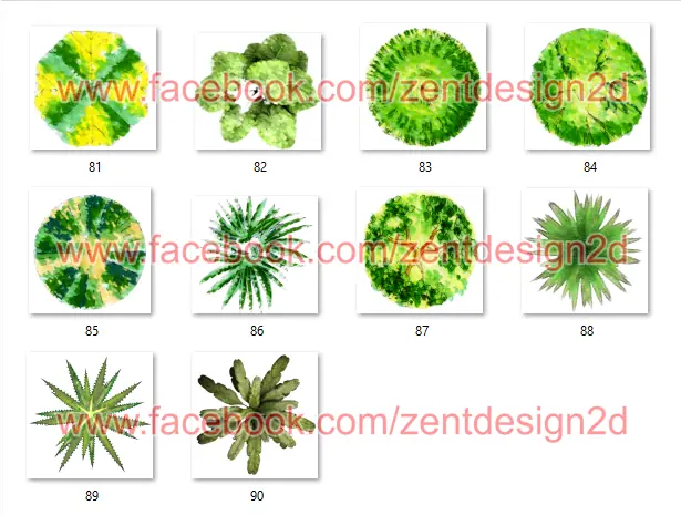 ARBOLES EN PLANTA PNG