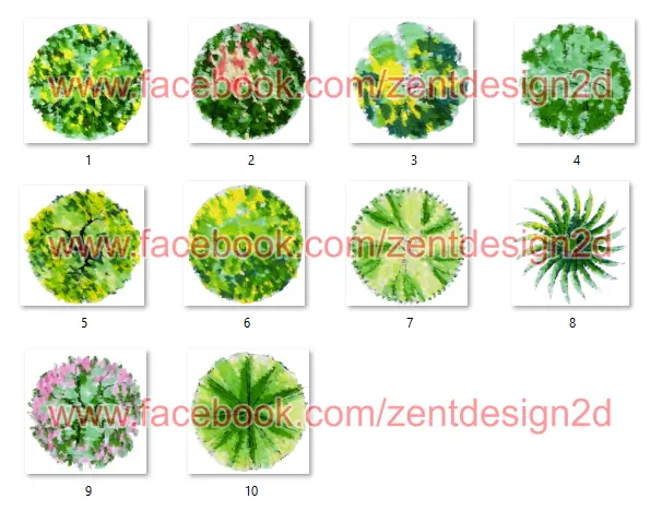 90 Arboles PNG - Vista en Planta - Diseños