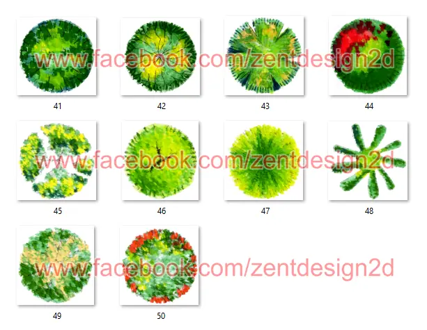 90 Arboles PNG - Vista en Planta - Diseños
