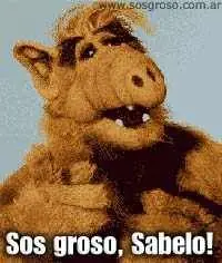 Quien es sabelo ? Sos Grosso Sabelo