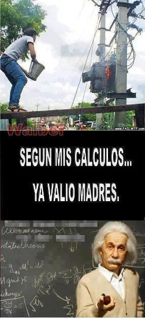 felicidad