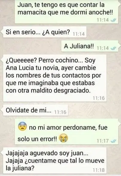 feliz