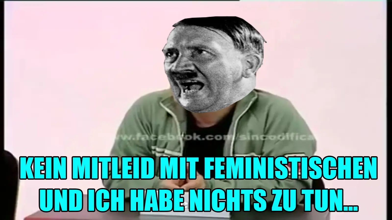 feminazis