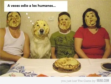 feliz