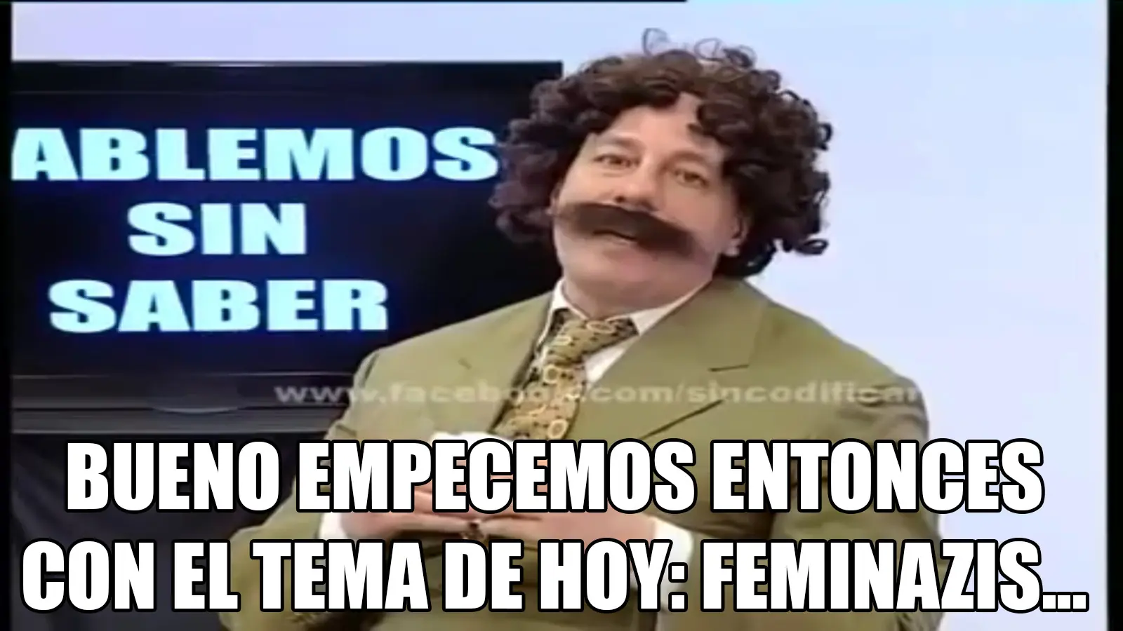 feminazis