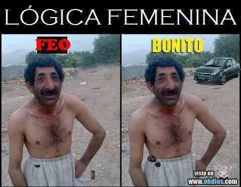 feliz