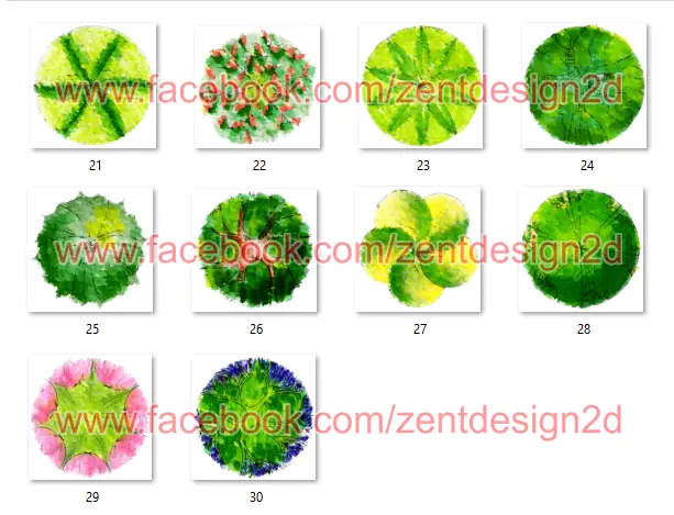 ARBOLES PNG